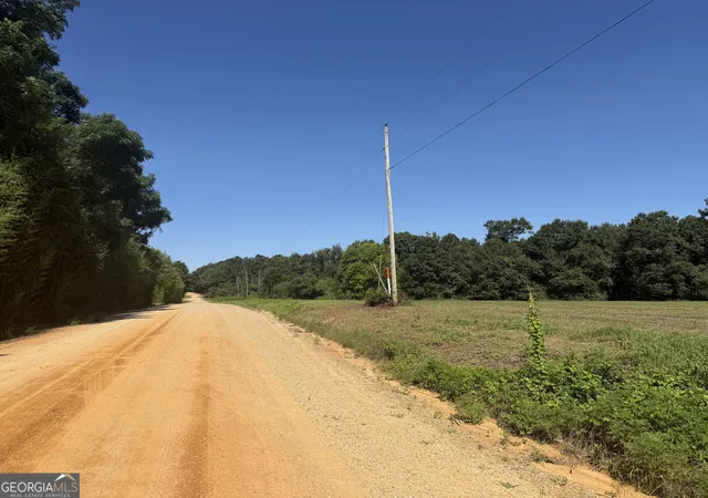 Homes for sale in Ashford, AL | 006H Wallace Buie Rd, Ashford, AL 36376 | MLS# 10800799