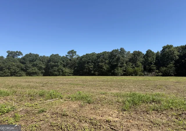 Homes for sale in Ashford, AL | 006H Wallace Buie Rd, Ashford, AL 36376 | MLS# 10800799