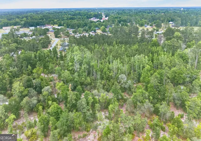 Homes for sale in Reidsville, GA | 139 Blount St, Reidsville, GA 30453 | MLS# 10761279
