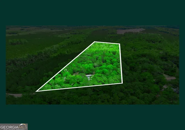 Homes for sale in Folkston, GA | 5434 Springhill Rd N, Folkston, GA 31537 | MLS# 10773490