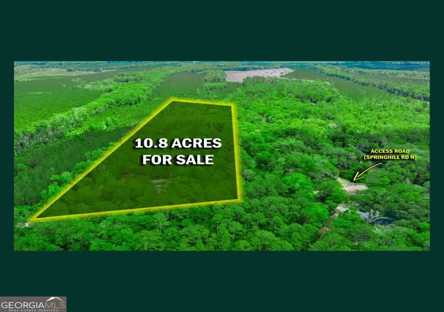 3rd image of 5434 Springhill Rd N, Folkston, GA 31537 | MLS# 10773490