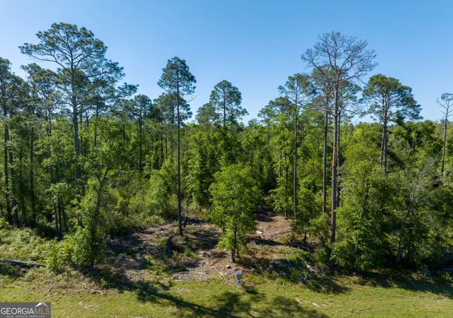 1st image of 0 Knights Academy Rd, Valdosta, GA 31605 | MLS# 10803641