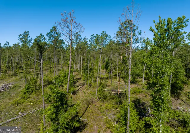 2nd image of 0 Knights Academy Rd, Valdosta, GA 31605 | MLS# 10803641