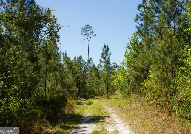 37th image of 0 Knights Academy Rd, Valdosta, GA 31605 | MLS# 10803641