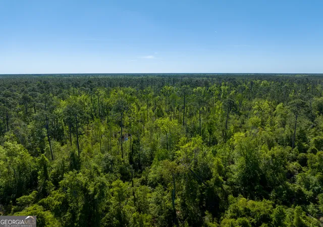 4th image of 0 Knights Academy Rd, Valdosta, GA 31605 | MLS# 10803641