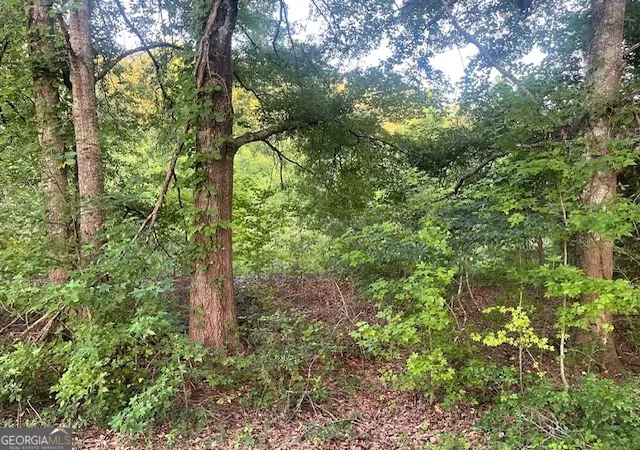 Photo 13 of Land for sale at 0 Mccrary Rd Tract 3 #TRACT 3, Molena, GA 30258 | MLS# 10796677 | Listing updated on 2026-09-02