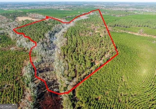 1st image of 0 N Indian Trail Rd, Sandersville, GA 31082 | MLS# 10800418
