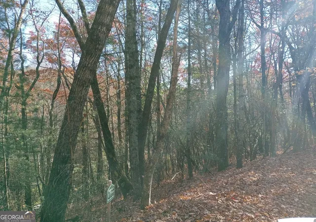 3rd image of 0 Rebel Circle #LOT 3, Sky Valley, GA 30537 | MLS# 10782574