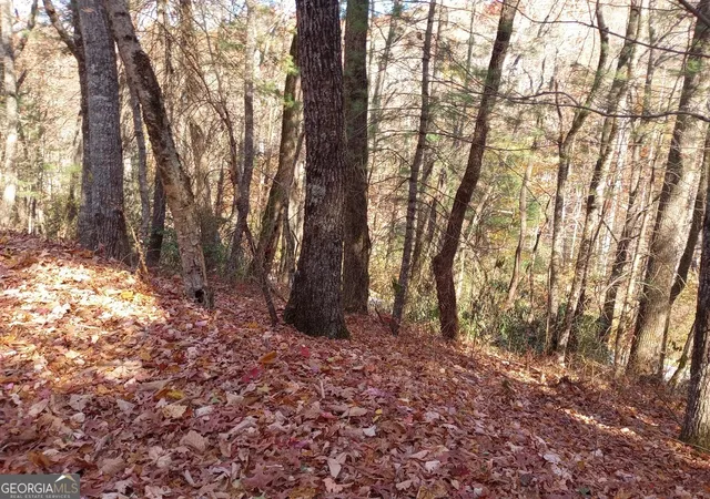 4th image of 0 Rebel Circle #LOT 3, Sky Valley, GA 30537 | MLS# 10782574