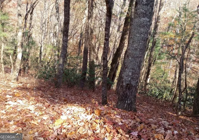 5th image of 0 Rebel Circle #LOT 3, Sky Valley, GA 30537 | MLS# 10782574