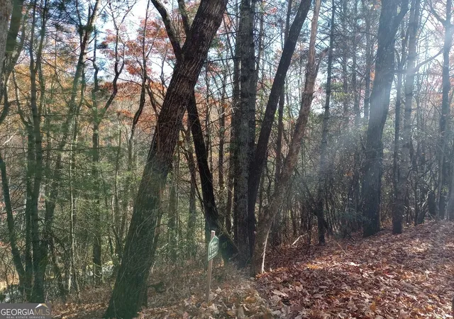 9th image of 0 Rebel Circle #LOT 3, Sky Valley, GA 30537 | MLS# 10782574