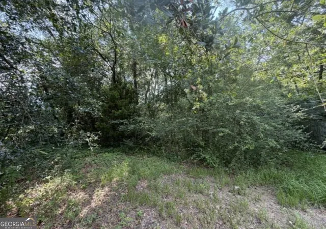 Homes for sale in Savannah, GA | 0 Milton Ave, Savannah, GA 31405 | MLS# 10796733