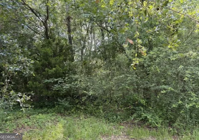Photo 3 of Land for sale at 0 Milton Ave, Savannah, GA 31405 | MLS# 10796733 | Listing updated on 2026-09-04