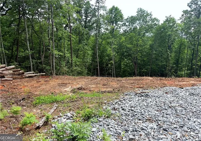 Homes for sale in Dahlonega, GA | 329 River Highlands Rd, Dahlonega, GA 30533 | MLS# 10787809