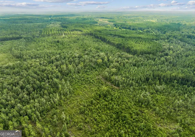 Photo 1 of Land for sale at V/l 96 Old Reserve Rd, White Oak, GA 31568 | MLS# 10833065 | Listing updated on 2026-08-27