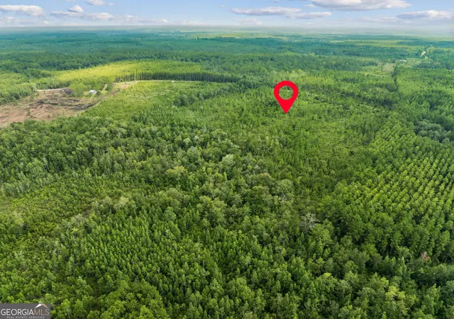 Photo 2 of Land for sale at V/l 96 Old Reserve Rd, White Oak, GA 31568 | MLS# 10833065 | Listing updated on 2026-08-27