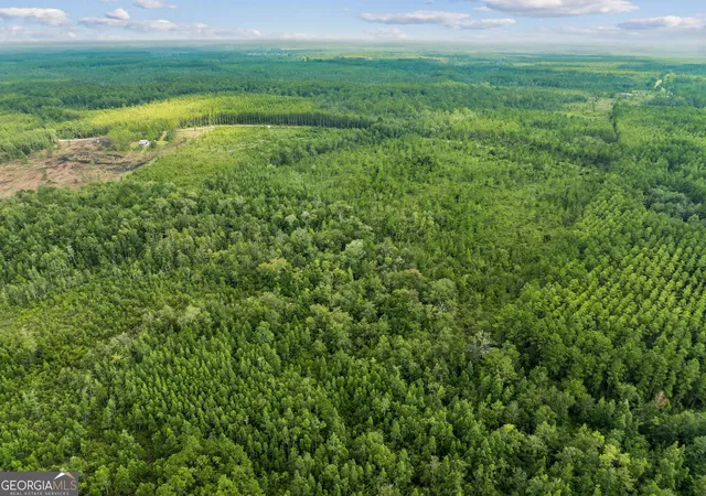 Photo 3 of Land for sale at V/l 96 Old Reserve Rd, White Oak, GA 31568 | MLS# 10833065 | Listing updated on 2026-08-27