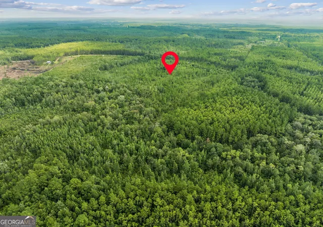 Photo 3 of Land for sale at V/L 96 Old Reserve Rd, White Oak, GA 31568 | MLS# 10833065 | Listing updated on 2026-08-27