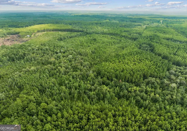 Photo 4 of Land for sale at V/L 96 Old Reserve Rd, White Oak, GA 31568 | MLS# 10833065 | Listing updated on 2026-08-27