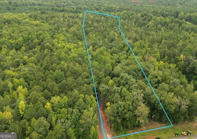 1st image of 0 Roosevelt Hwy #A, Warm Springs, GA 31830 | MLS# 10826530