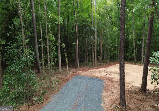 3rd image of 0 Roosevelt Hwy #A, Warm Springs, GA 31830 | MLS# 10826530