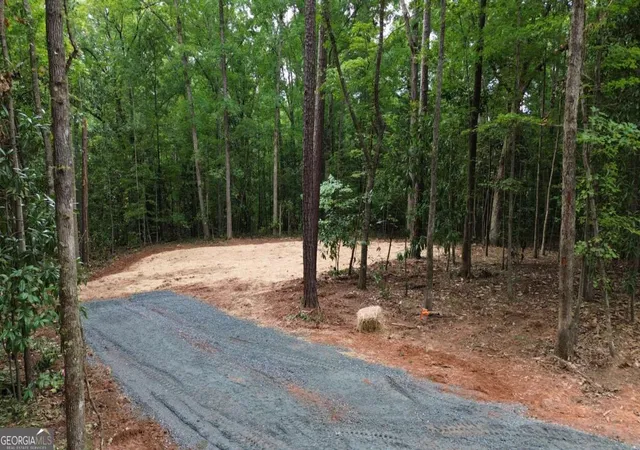4th image of 0 Roosevelt Hwy #A, Warm Springs, GA 31830 | MLS# 10826530