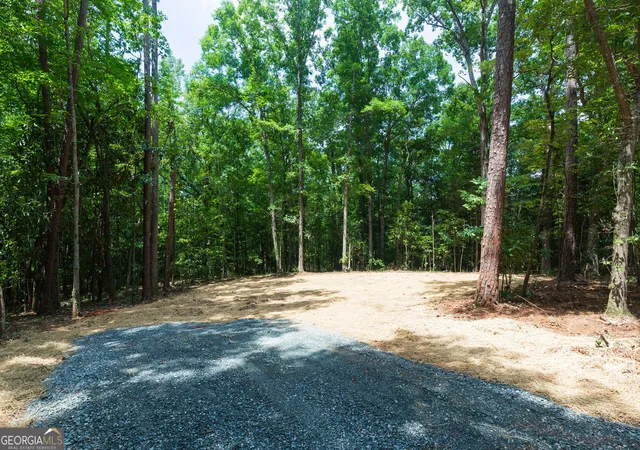Photo 3 of Land for sale at 0 Roosevelt Hwy #A, Warm Springs, GA 31830 | MLS# 10826530 | Listing updated on 2026-09-14