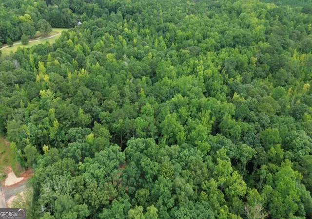 5th image of 0 Roosevelt Hwy #A, Warm Springs, GA 31830 | MLS# 10826530