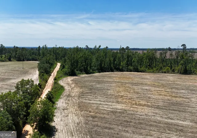 2nd image of 08600022t5 Redbird Rd, Lumber City, GA 31549 | MLS# 10516217