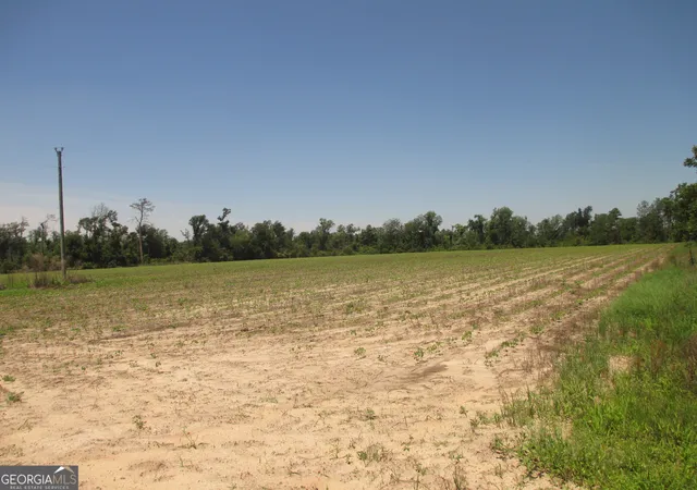 3rd image of 08600022T5 Redbird Rd, Lumber City, GA 31549 | MLS# 10516217