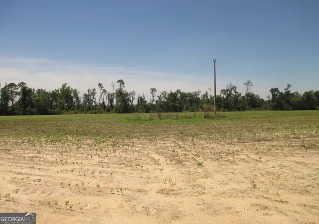 4th image of 08600022T5 Redbird Rd, Lumber City, GA 31549 | MLS# 10516217