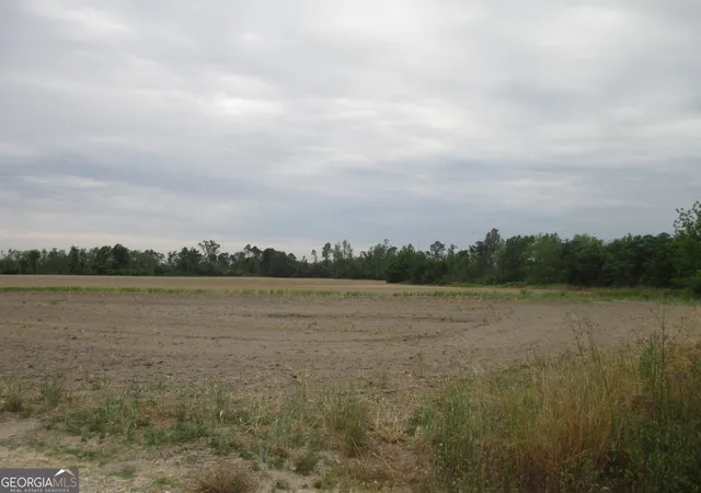 5th image of 08600022T5 Redbird Rd, Lumber City, GA 31549 | MLS# 10516217