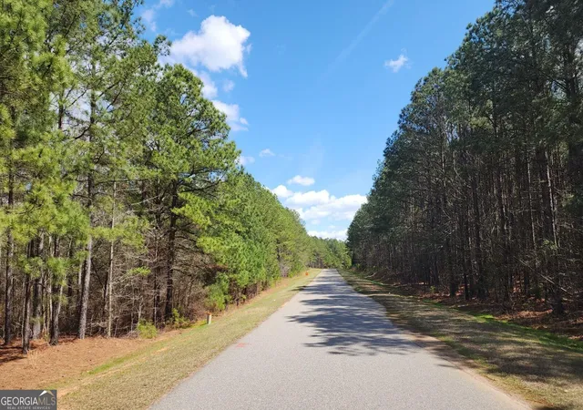 Photo 3 of Land for sale at 1135 Watersedge Cvs, Tignall, GA 30668 | MLS# 10827385 | Listing updated on 2026-08-31