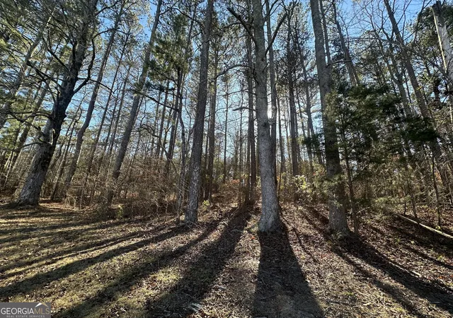 2nd image of 0 Hard Rock Rd, Oxford, GA 30054 | MLS# 10796541