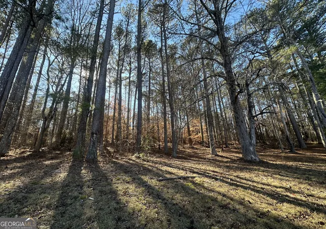 3rd image of 0 Hard Rock Rd, Oxford, GA 30054 | MLS# 10796541