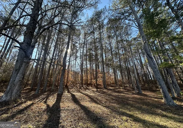 4th image of 0 Hard Rock Rd, Oxford, GA 30054 | MLS# 10796541