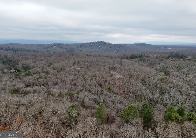 22nd image of 0 Dills Road, Blue Ridge, GA 30513 | MLS# 10431891