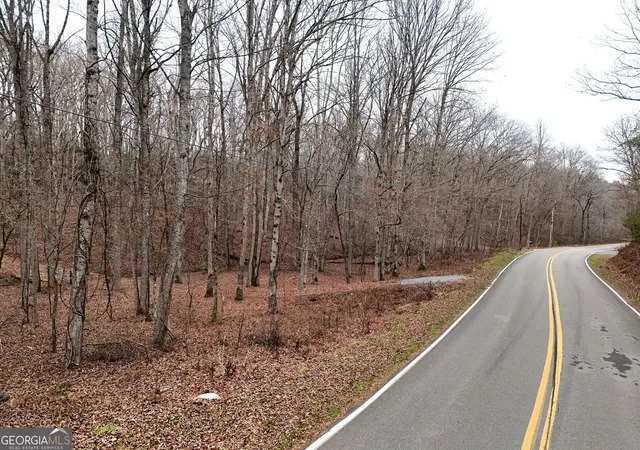 2nd image of 0 Dills Road, Blue Ridge, GA 30513 | MLS# 10431891