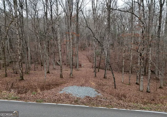 3rd image of 0 Dills Road, Blue Ridge, GA 30513 | MLS# 10431891