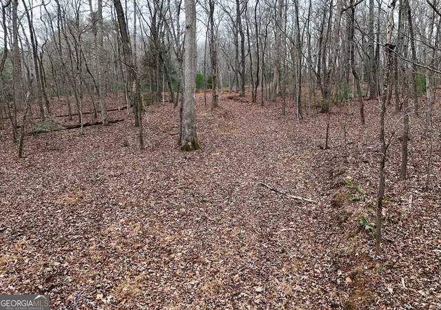 4th image of 0 Dills Road, Blue Ridge, GA 30513 | MLS# 10431891