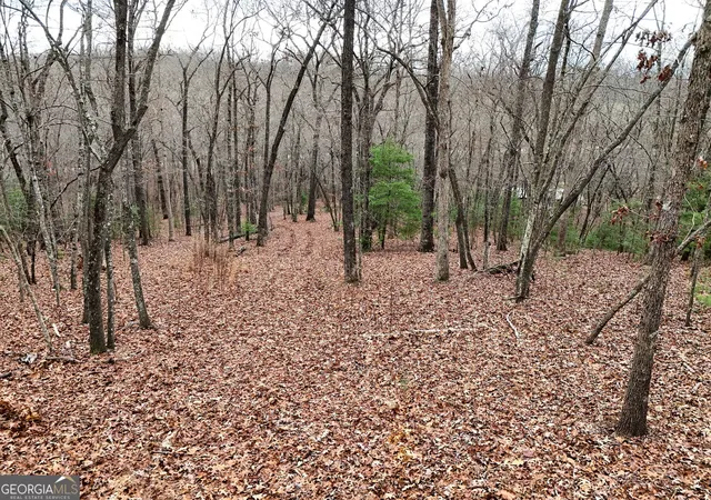 5th image of 0 Dills Road, Blue Ridge, GA 30513 | MLS# 10431891