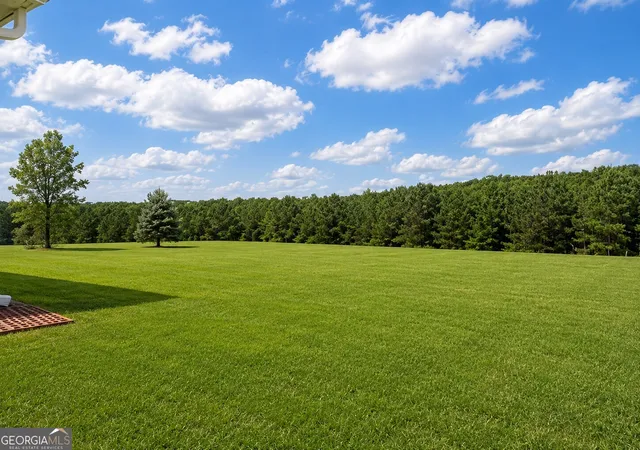4th image of 139 Swallowtail Ln, Homer, GA 30547 | MLS# 10730347