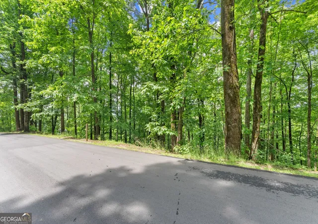 Photo 3 of Land for sale at Lt 30 Mountainside Dr, Cleveland, GA 30528 | MLS# 10768778 | Listing updated on 2026-08-30