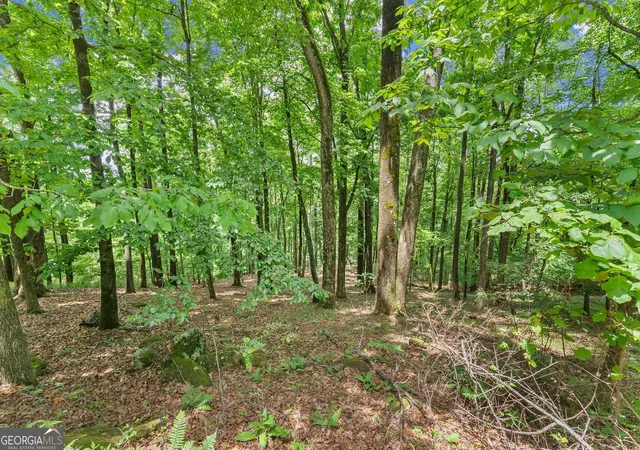 Photo 3 of Land for sale at Lt 30 Mountainside Dr, Cleveland, GA 30528 | MLS# 10768778 | Listing updated on 2026-08-30