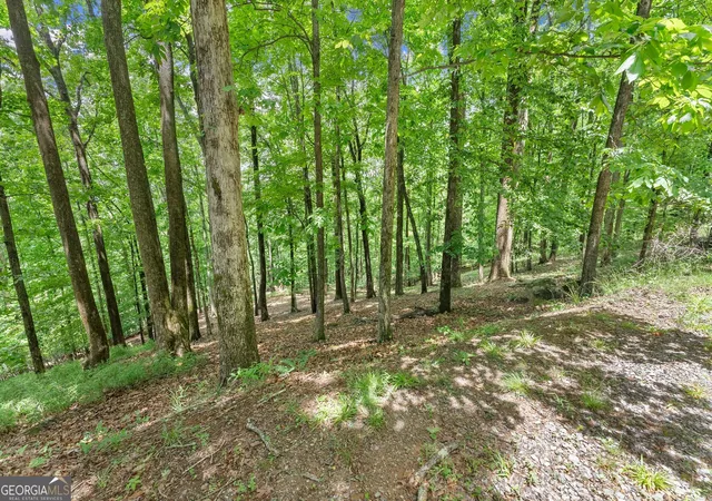 Photo 4 of Land for sale at Lt 30 Mountainside Dr, Cleveland, GA 30528 | MLS# 10768778 | Listing updated on 2026-08-30
