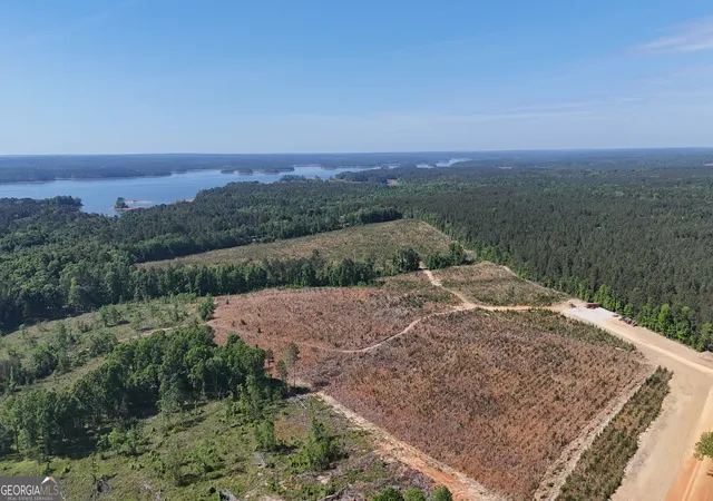1st image of 1000 Hidden Harbor Road, Lincolnton, GA 30817 | MLS# 10809561