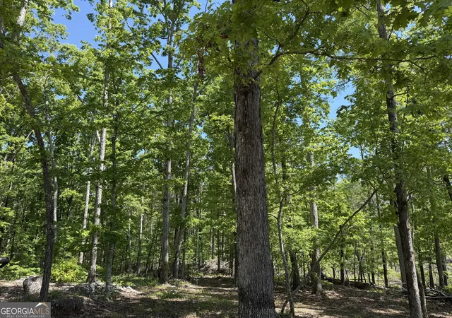 3rd image of 1000 Hidden Harbor Road, Lincolnton, GA 30817 | MLS# 10809561