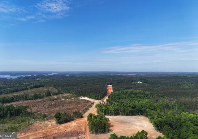 4th image of 1000 Hidden Harbor Road, Lincolnton, GA 30817 | MLS# 10809561