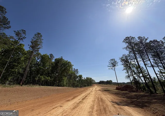 5th image of 1000 Hidden Harbor Road, Lincolnton, GA 30817 | MLS# 10809561