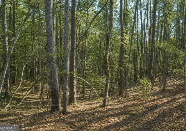 Homes for sale in Dawsonville, GA | Lot 24 Waldrip Rd, Dawsonville, GA 30534 | MLS# 10799791